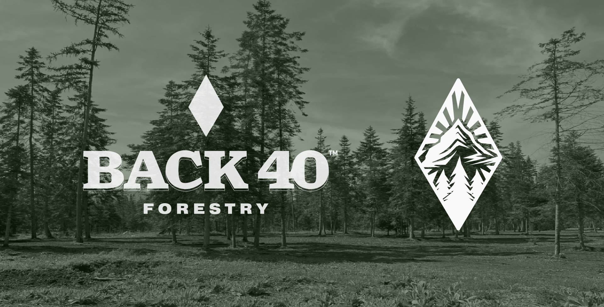 back 40 forestry logos