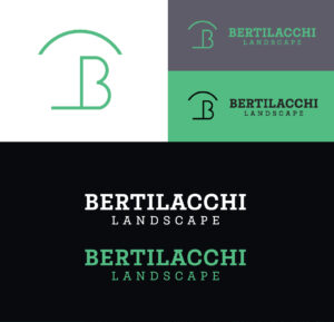 Bertilacchi Landscape