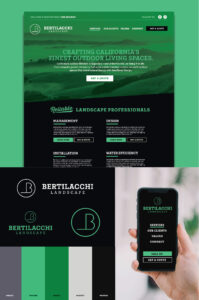 Bertilacchi Landscape