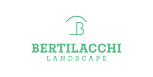 Bertilacchi Landscape