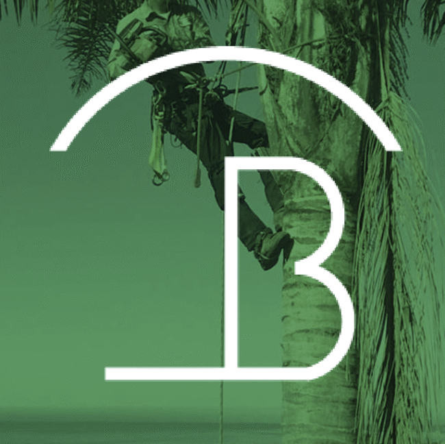 Bertilacchi Landscape